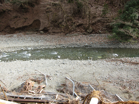 20200204hike (469)